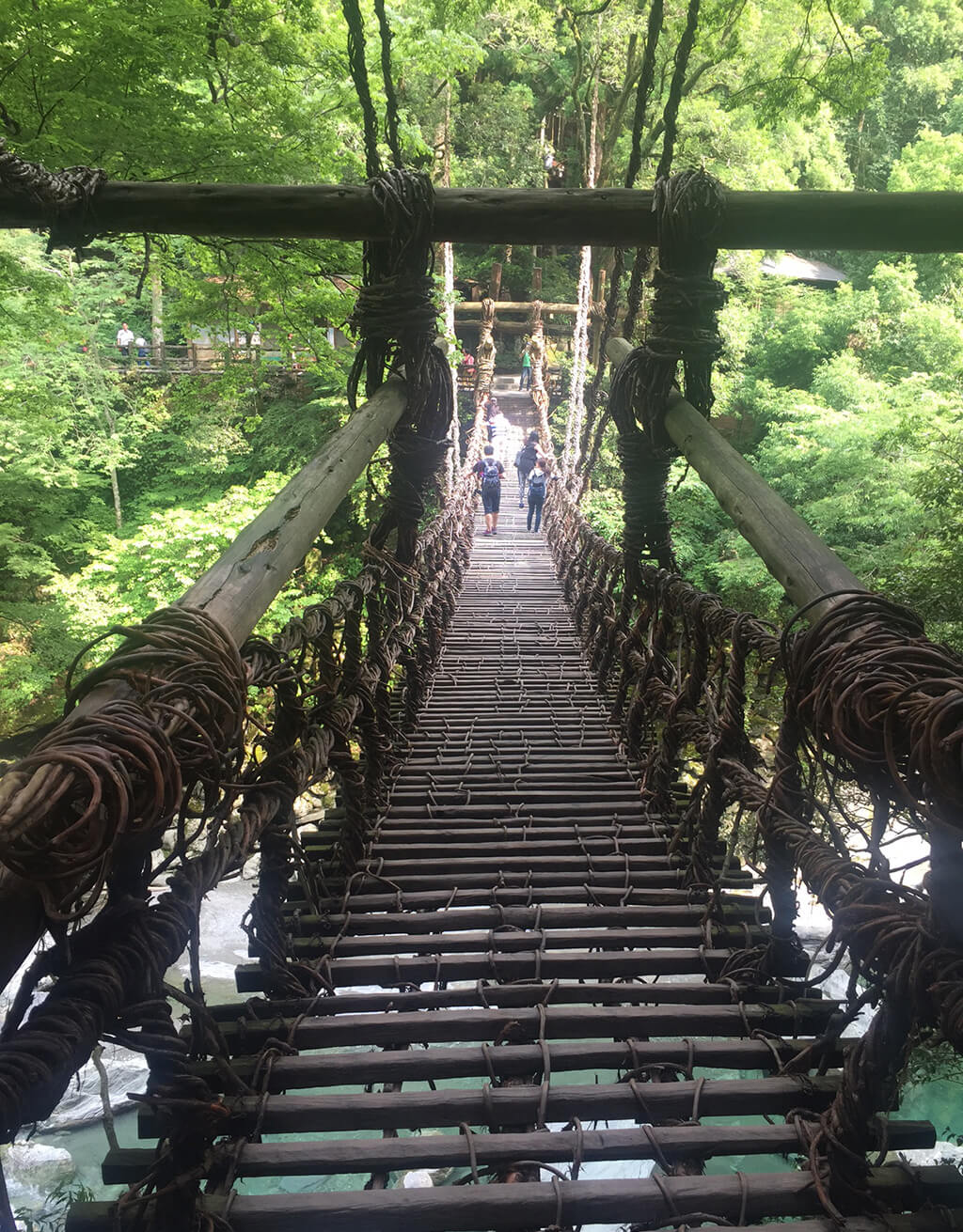 Kazurabashi il ponte di liane