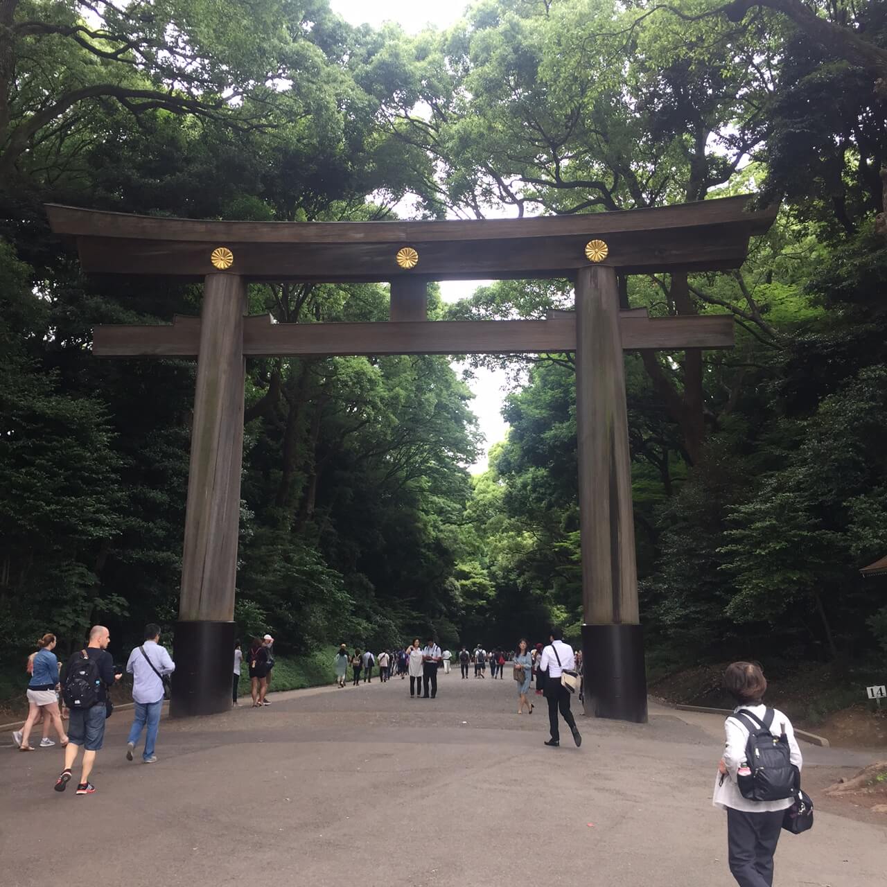 parco di Yoyogi